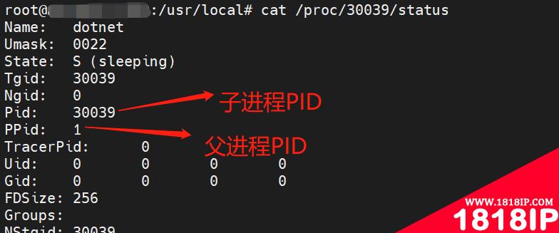 linux僵尸进程杀不死怎么办 linux 僵尸进程杀不死