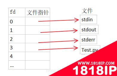 linux fd是什么