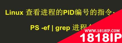 linux ppid是什么意思