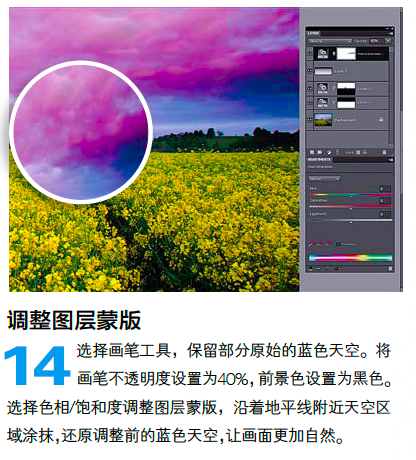 PS调整油菜花图片的光线与色彩